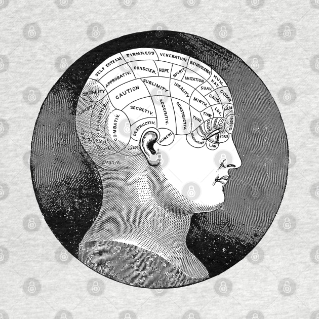 Vintage Phrenology Head Illustration by DankFutura